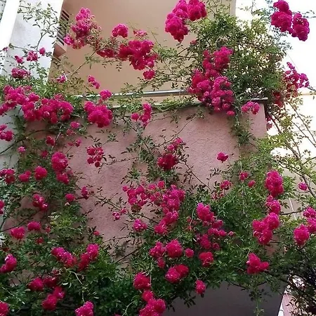 Apartman In Complex Tara Ravda